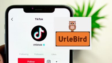 How Urlebird is Revolutionizing Video Sharing