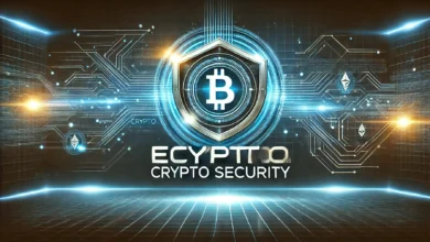 eCrypto1.com Crypto Security