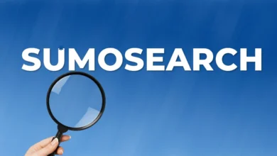 SumoSearch: Fast & Easy Web Search Engine